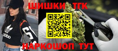 индика Будённовск