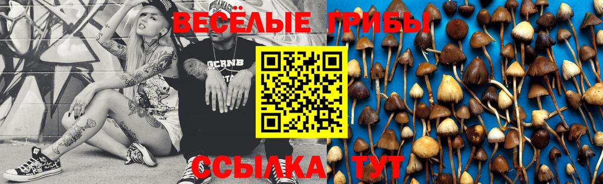 наркошоп  Вход с VPN  Осинники  Псилоцибиновые грибы Cubensis  Галлюциногенные грибы мухоморы 