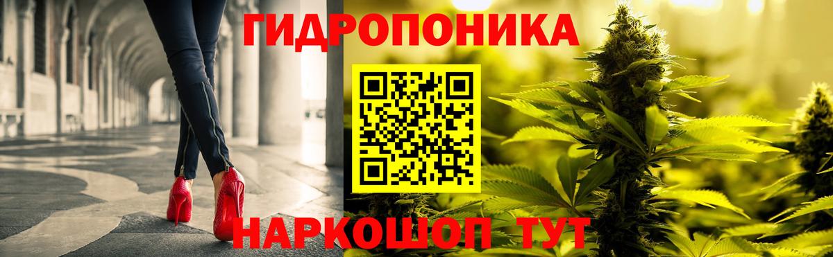 Каннабис LSD WEED  Канабис сатива  Бошки марихуана планчик  Осинники  Вход с VPN 